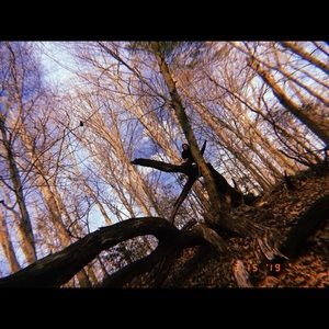 Meet your Posher, Cassidy